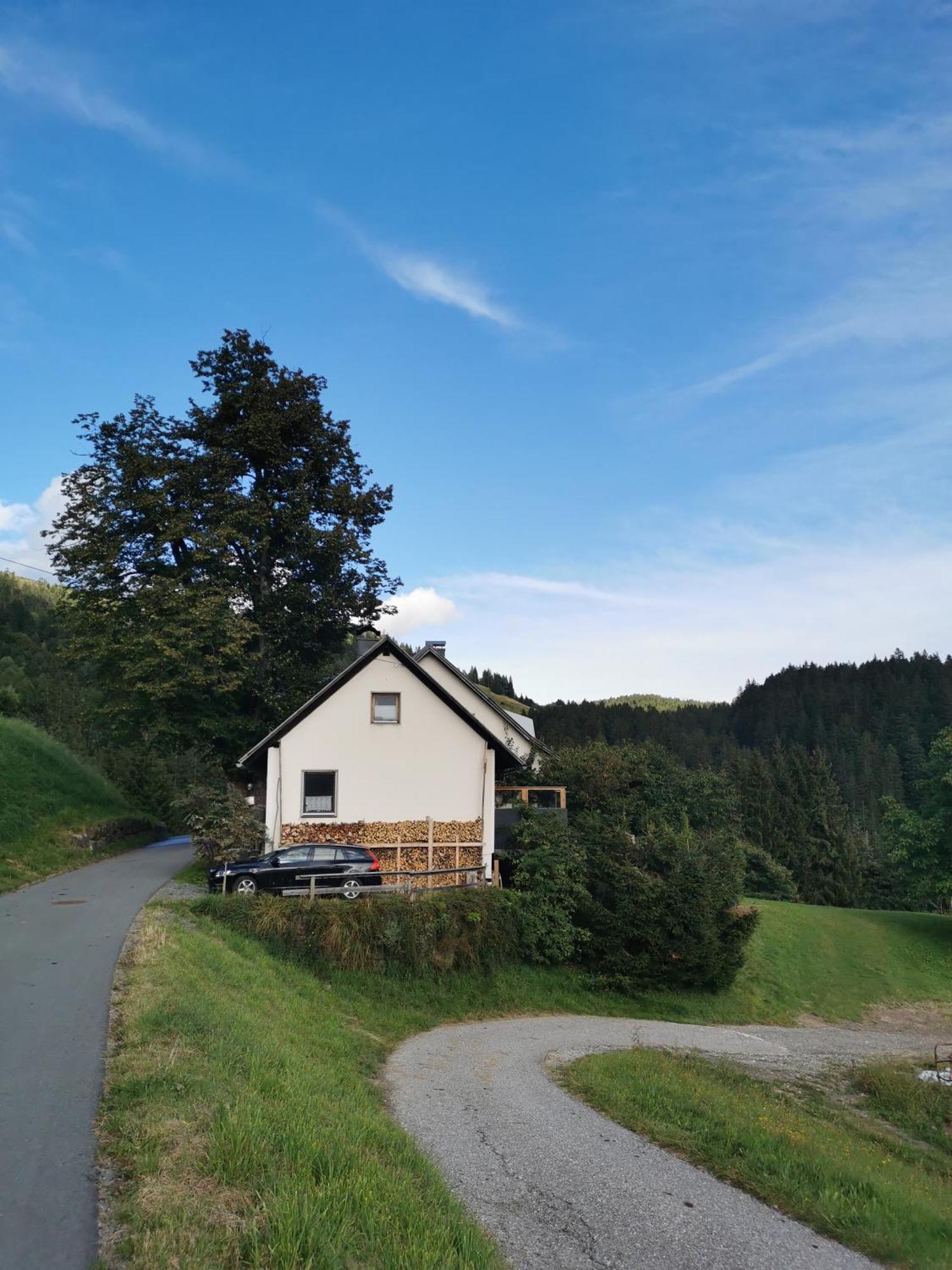 Urlaub Wie Frueher Bei Oma Hermagor-Pressegger See Eksteriør billede